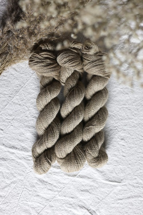 Odcienie BRYGADA RR balayage 01.JPG